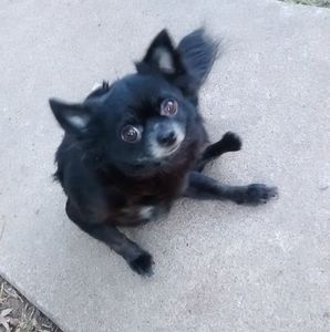 Meet your Posher, Billie